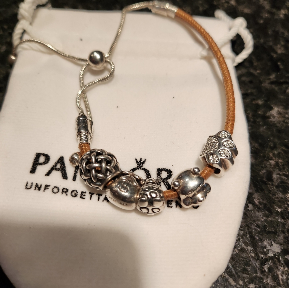 Pandora Leather & Sterling Chain Bracelet